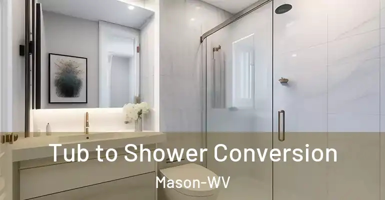 inner Bathroom imggen Tub to Shower Conversion Mason-WV