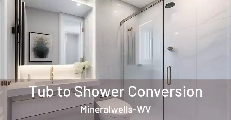 inner Bathroom imggen Tub to Shower Conversion Mineralwells-WV