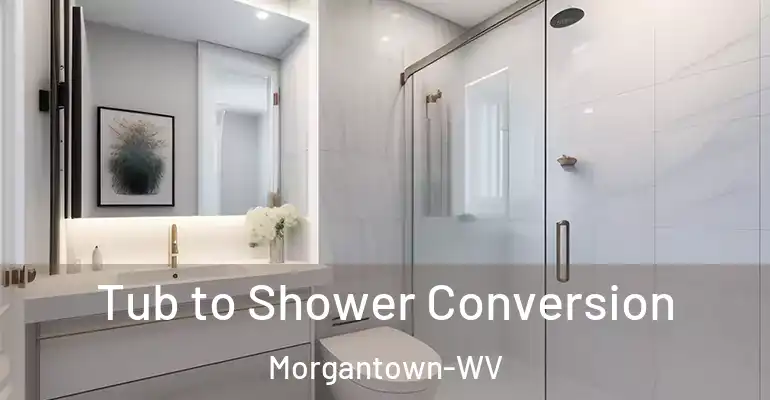 inner Bathroom imggen Tub to Shower Conversion Morgantown-WV
