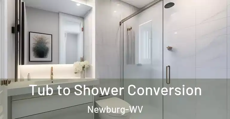 inner Bathroom imggen Tub to Shower Conversion Newburg-WV