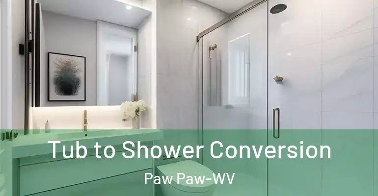 inner Bathroom imggen Tub to Shower Conversion Paw Paw-WV