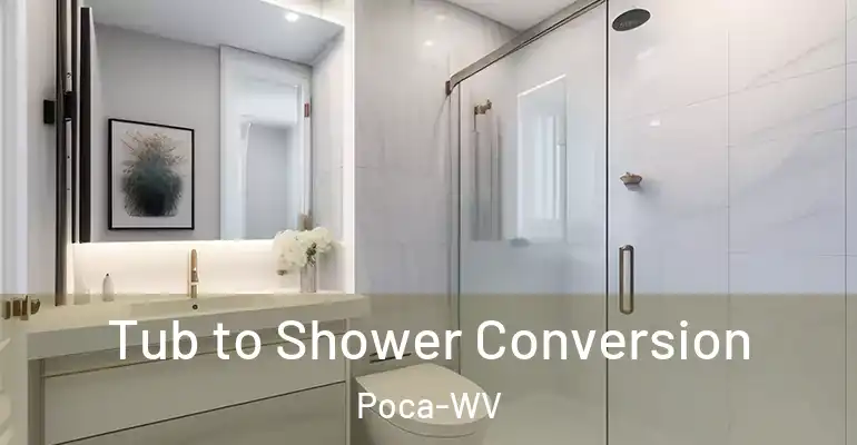 inner Bathroom imggen Tub to Shower Conversion Poca-WV