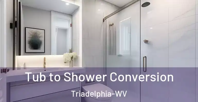 inner Bathroom imggen Tub to Shower Conversion Triadelphia-WV