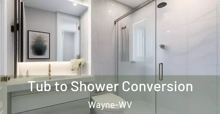 inner Bathroom imggen Tub to Shower Conversion Wayne-WV