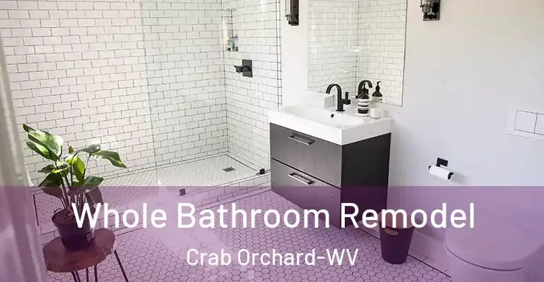 inner Bathroom imggen Whole Bathroom Remodel Crab Orchard-WV